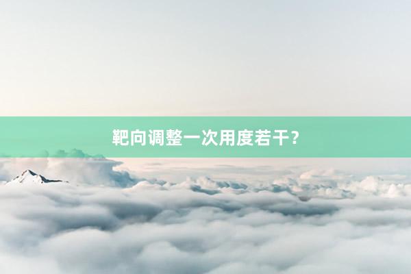 靶向调整一次用度若干？